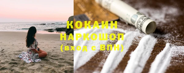 PSILOCYBIN Сатка