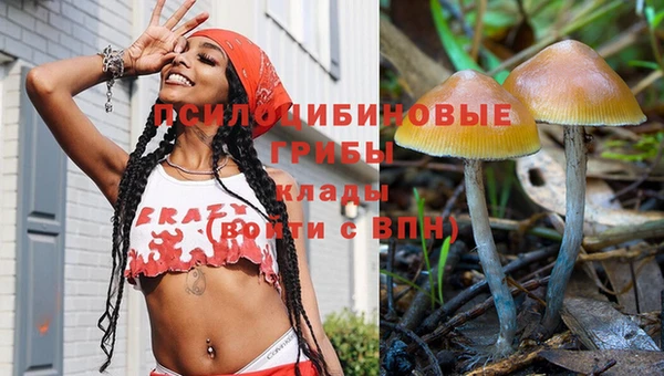 крисы Волоколамск